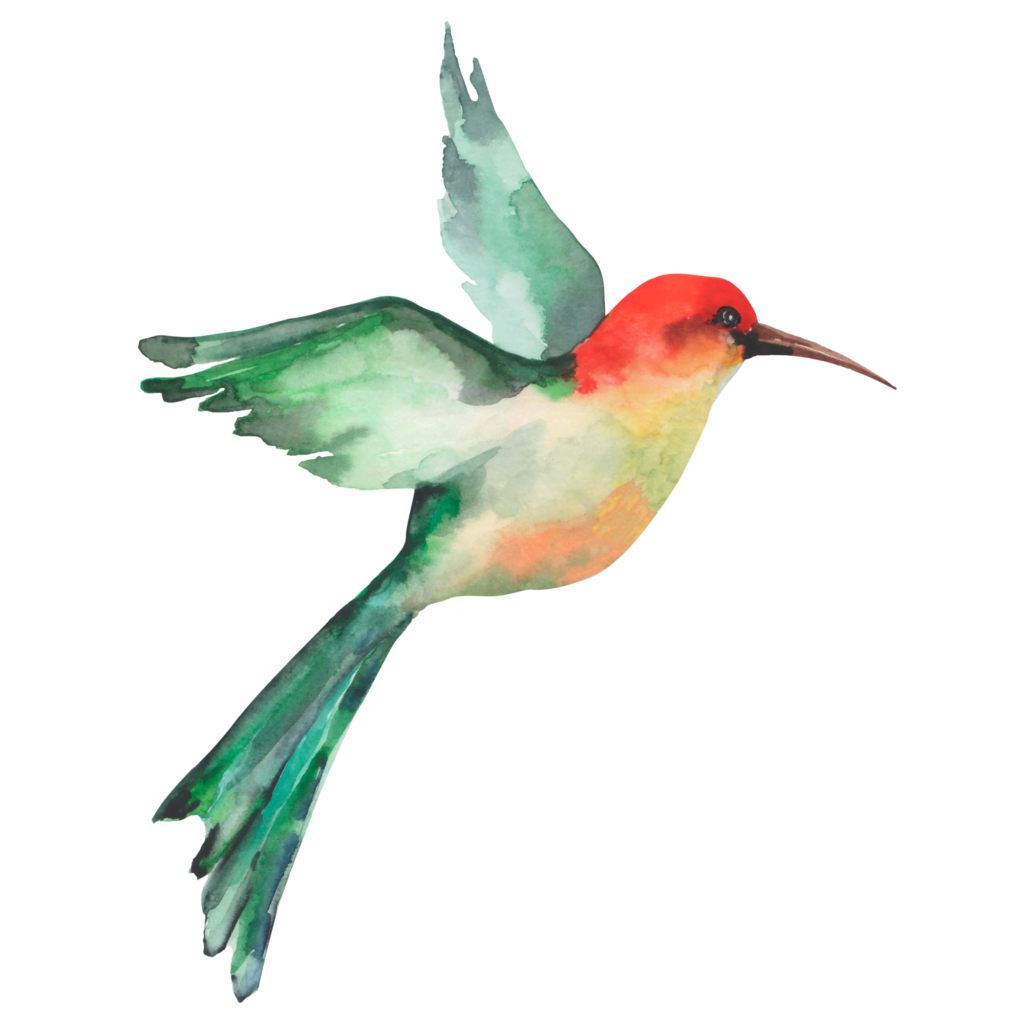 Vogel Ik rouw van je