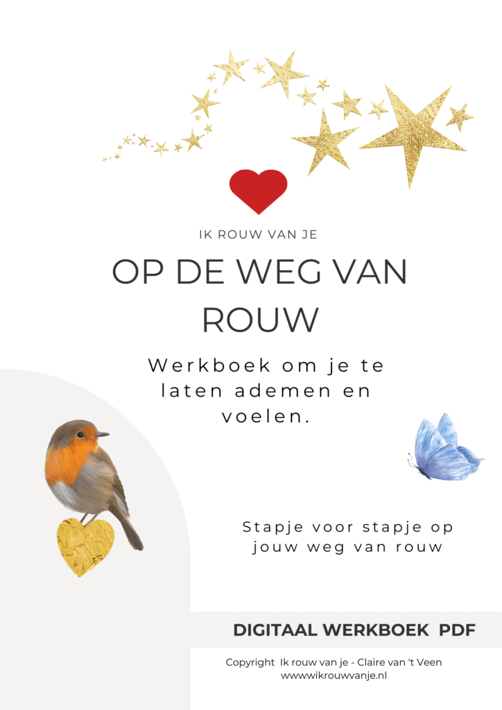 Voorpagina Op de weg van rouw - Digitaal werkboek